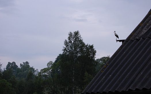 parduodamos sodybos