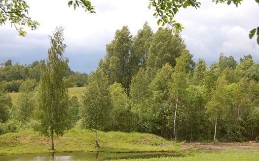 sklypas prie vandens