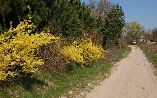 parduodami sklypai kaime