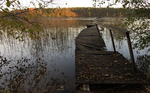 pigiai parduodami sklypai ir sodybos